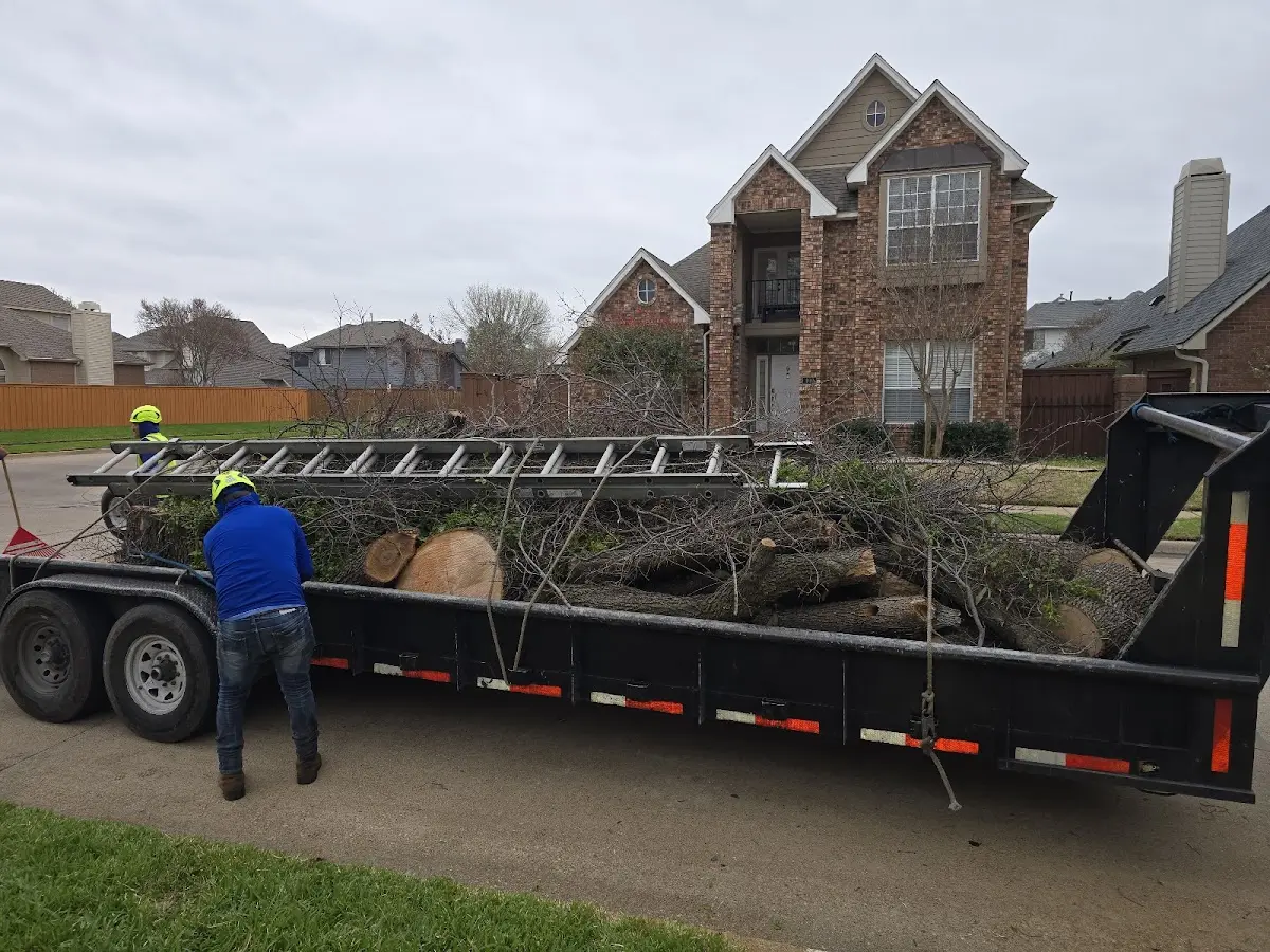 Expert Lot Clearing with proper safety equipment in Divernon